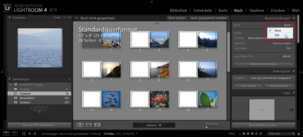 Der erste Schritt bei der Fotobucherstellung ist die Auswahl der Ausgabe: Der Druckdienstleister Blurb oder PDF stehen dabei zur Verfügung. (Adobe/Screenshot: Petra Vogt)